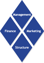 Wertediamant Management - Finance - Marketing - Structure